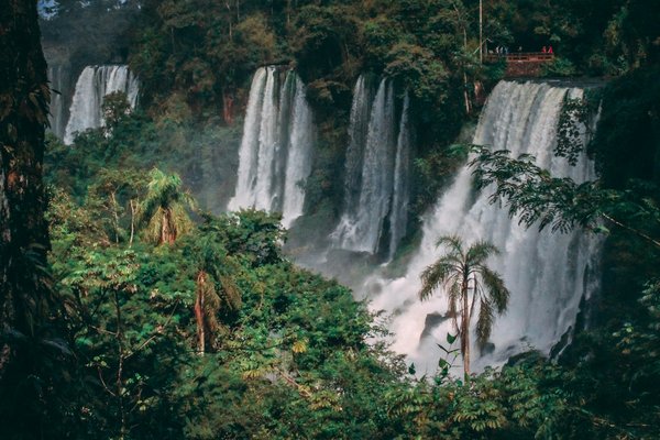 Comment organiser une expédition pour voir les chutes d'eau spectaculaires d'Iguaçu, Brésil ?